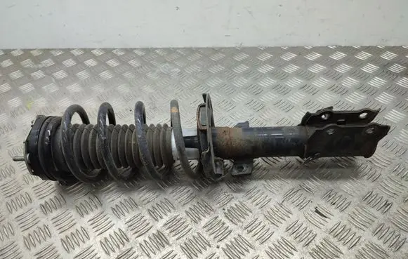 Ford Turneo Courier Front shock absorber/damper EY1618045FA