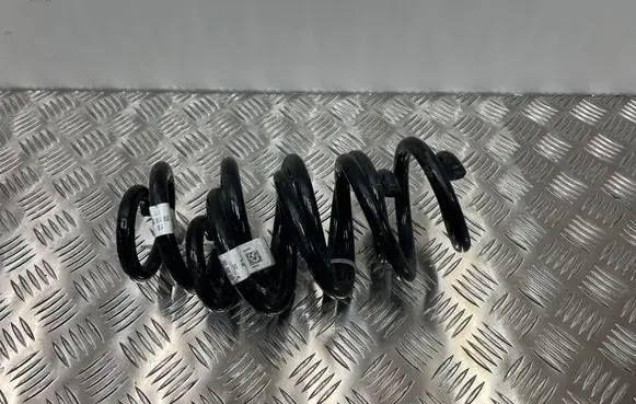 Rear coil spring