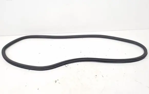 Opel Corsa F Rear door rubber seal (on body) 9829331980