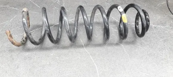 Renault Megane II Rear coil spring