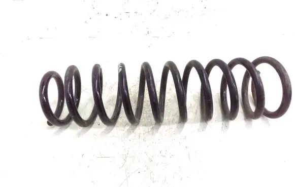 Mitsubishi Outlander Rear coil spring