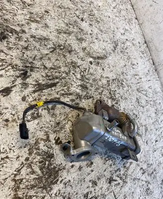 Renault Kadjar EGR valve cooler
