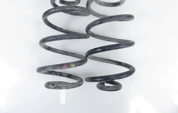 Rear coil spring