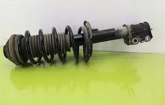 Opel Zafira B Front shock absorber with coil spring 