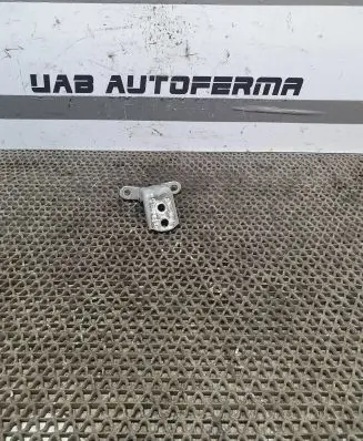 Nissan Qashqai Front door lower hinge 
