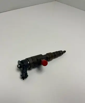 Citroen Berlingo Fuel injector 0445110566