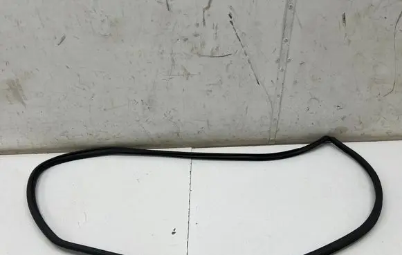 Toyota C-HR II Rear door rubber seal (on body) 