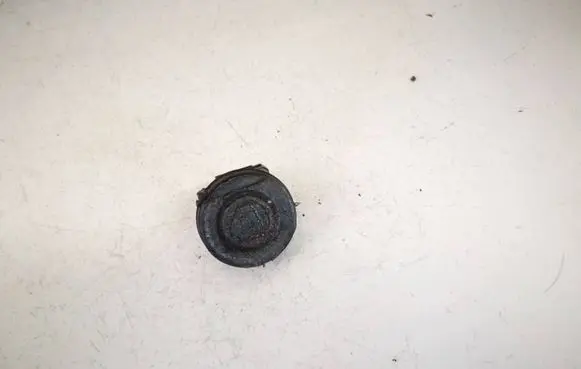 Renault Kangoo II Front door speaker 8200304435
