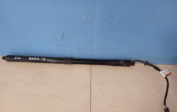Tailgate/trunk strut/damper