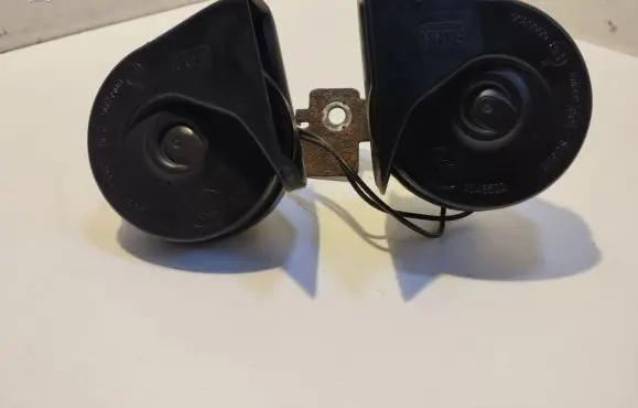 Horn signal