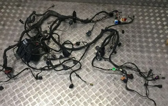 Cupra Born Positive wiring loom 