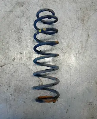 Rear coil spring