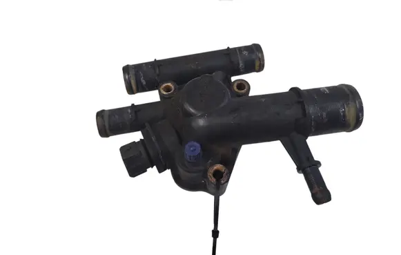 Thermostat/thermostat housing