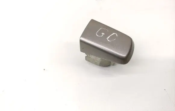 Nissan Qashqai Rear door handle cover 