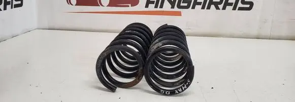 Rear coil spring