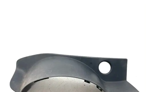 Rear/tail light trim molding