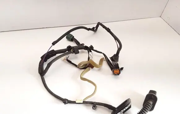 Rear door wiring loom
