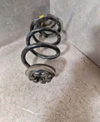 Rear coil spring