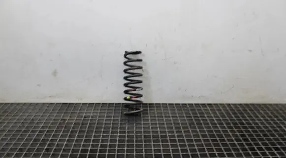 KIA Sportage Rear coil spring