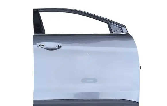 Hyundai Santa Fe Front door 916102W244