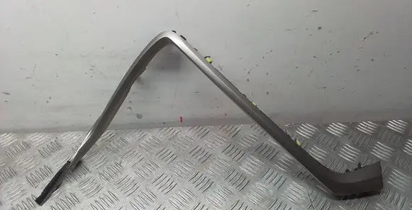 Lexus RX 450H Panel trim 5547148050