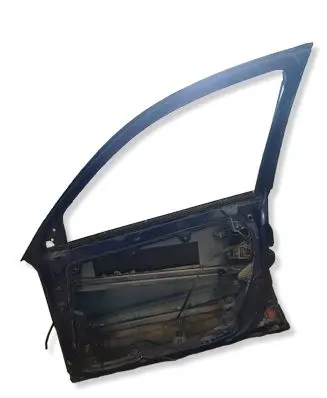 Volkswagen PASSAT B5.5 Front door 