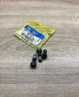 Flywheel bolts