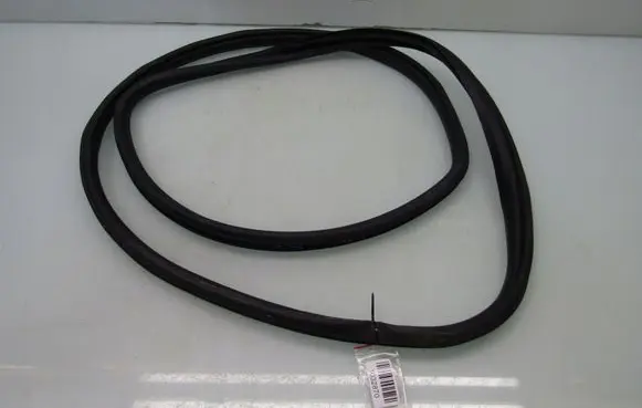 Honda Civic X Rear door rubber seal (on body) 