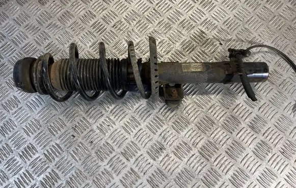 Skoda Rapid (NH) Front shock absorber/damper 