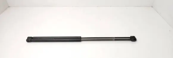 Renault Scenic I Tailgate/trunk strut/damper 0691666