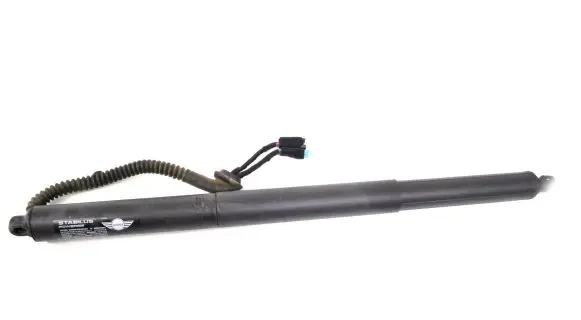 Tailgate/trunk strut/damper
