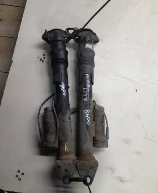 Mercedes-Benz R W251 Rear shock absorber/damper 