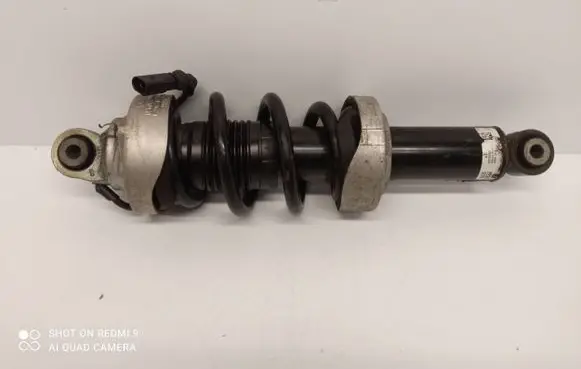 Audi R8 42 Front shock absorber/damper 420412019N