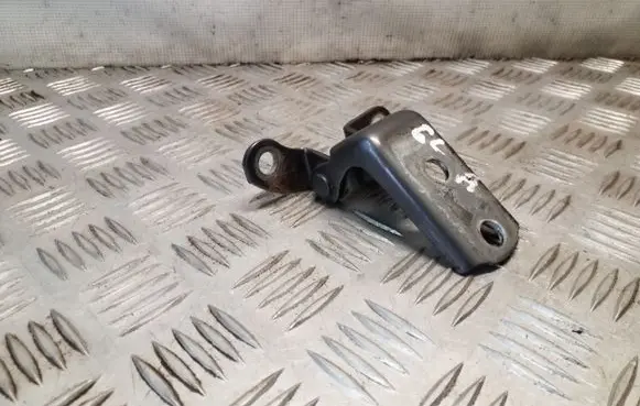 Lexus RX 450H Rear door lower hinge