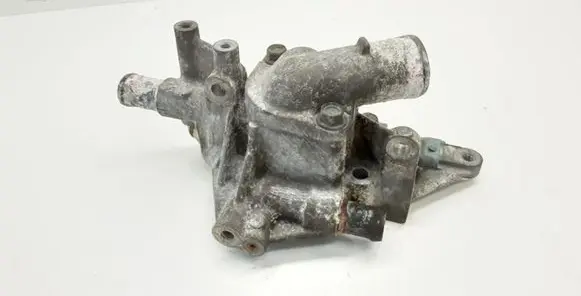 Thermostat/thermostat housing