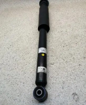 Dacia Spring Rear shock absorber/damper 562100090R