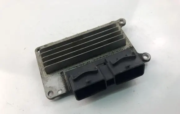 Engine control unit/module ECU