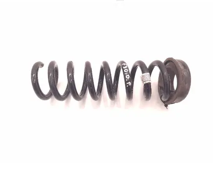 Rear coil spring
