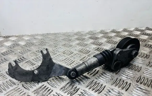 Volkswagen PASSAT B5.5 Alternator belt tensioner 038145283