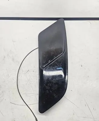 Ford Mustang VI Bonnet/hood grill FR3B16C929AHW