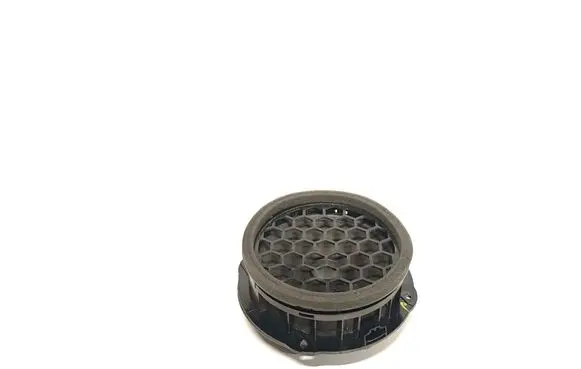 Rear door speaker