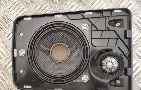 Panel speaker