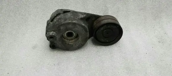 Mercedes-Benz CLS C219 Alternator belt tensioner A6422001370