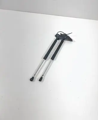 Tailgate/trunk strut/damper
