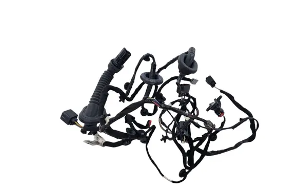Ford Mustang VI Front door wiring loom FR3T14630AJ FR3T14630