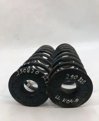Hyundai Kona II Rear coil spring 55335be400