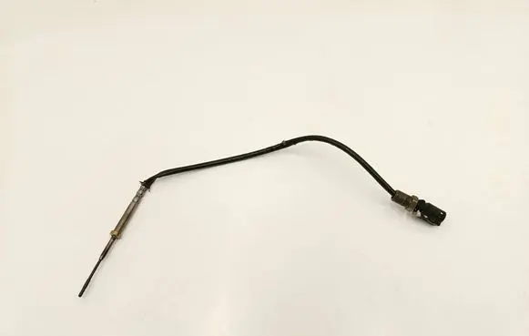 Exhaust gas temperature sensor