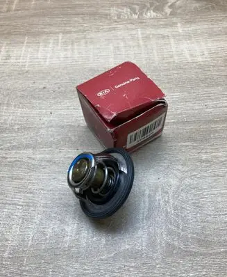 Hyundai ix35 Thermostat 255002A100