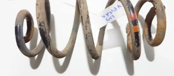Nissan Qashqai Rear coil spring