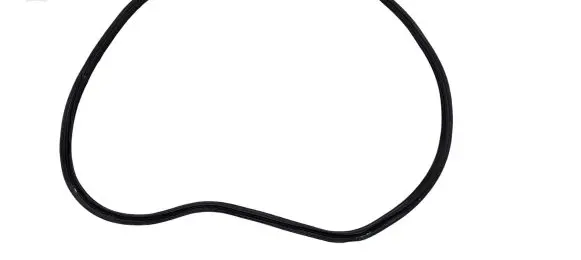 Dodge Charger Trunk rubber seal (body) 